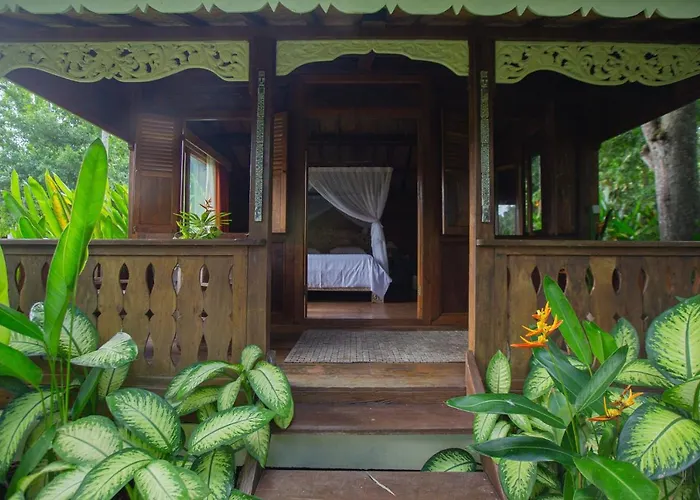Проживание в семье Anima Retreat Bali Krambitan