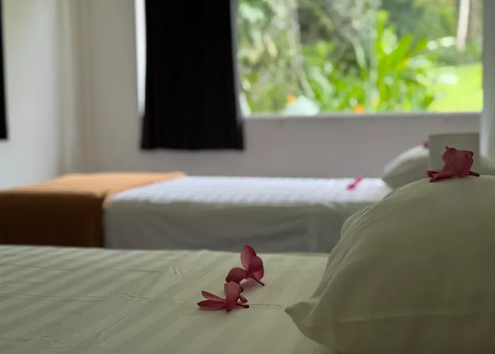 Проживание в семье Anima Retreat Bali